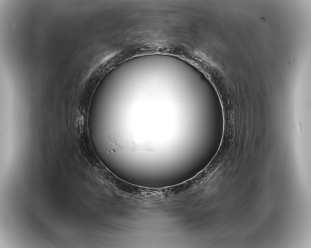 X0000086881302200704300929