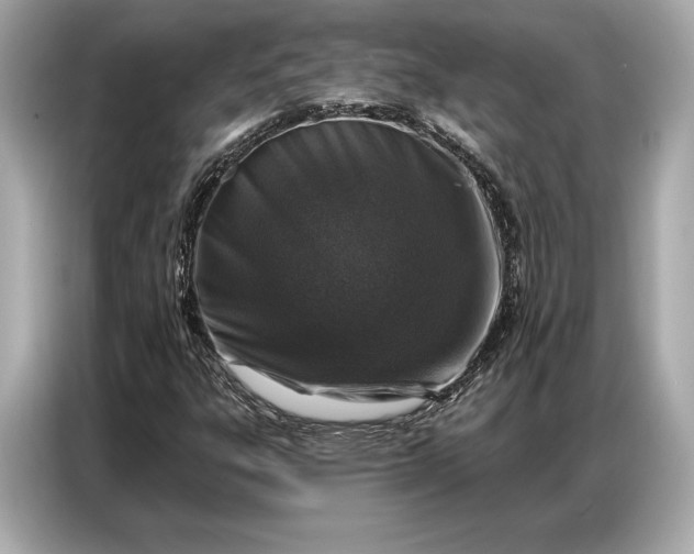 X0000086881303200704300929