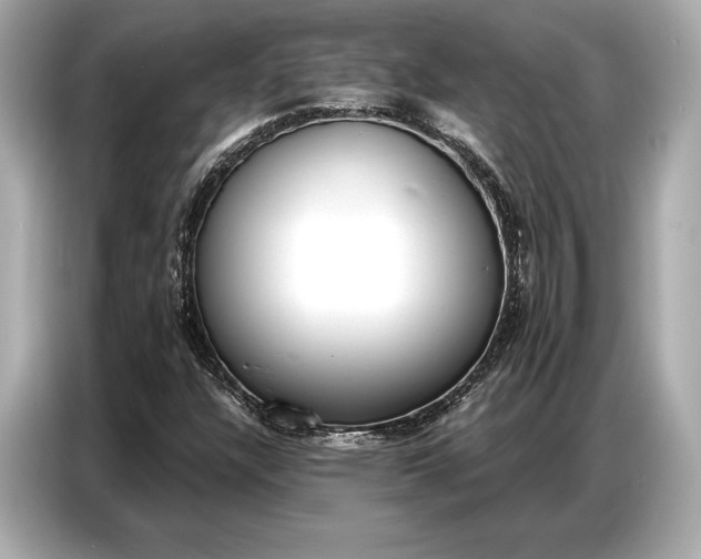 X0000086881304200704300929