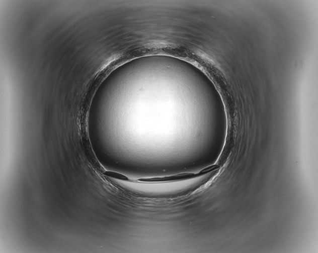 X0000086881305200704300929