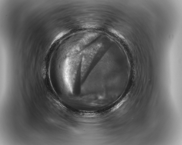 X0000086881306200704300929