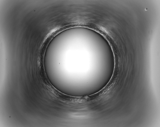 X0000086881307200704300929