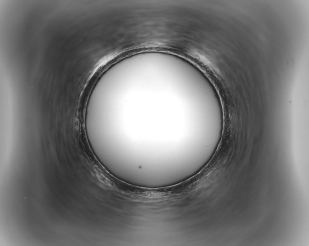 X0000086881308200704300929