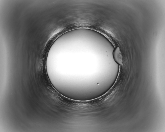 X0000086881309200704300929