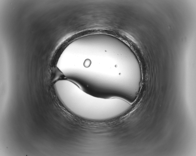 X0000086881310200704300929