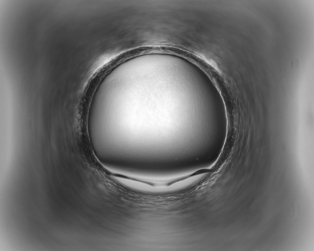 X0000086881311200704300929