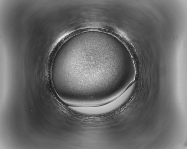 X0000086881312200704300929