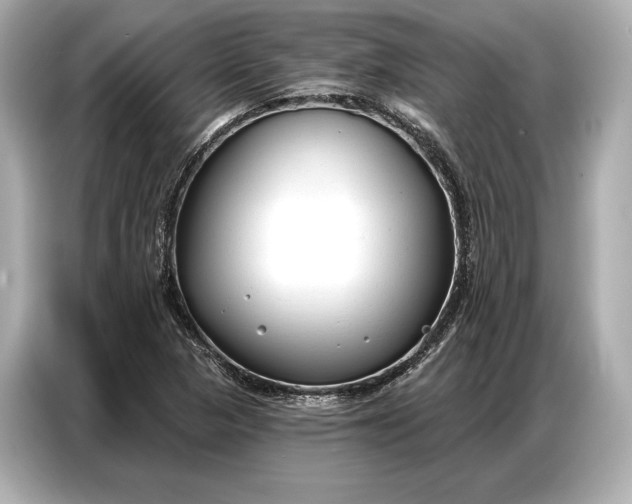 X0000086881313200704300929