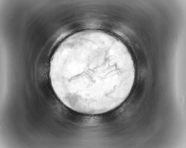 X0000086881314200704300929