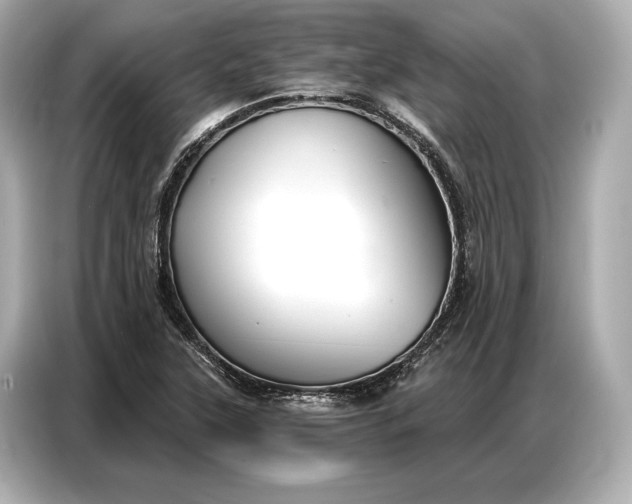 X0000086881315200704300929