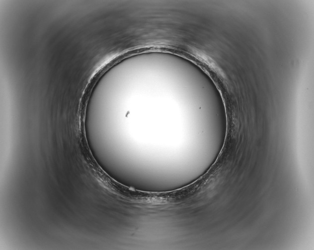 X0000086881316200704300929