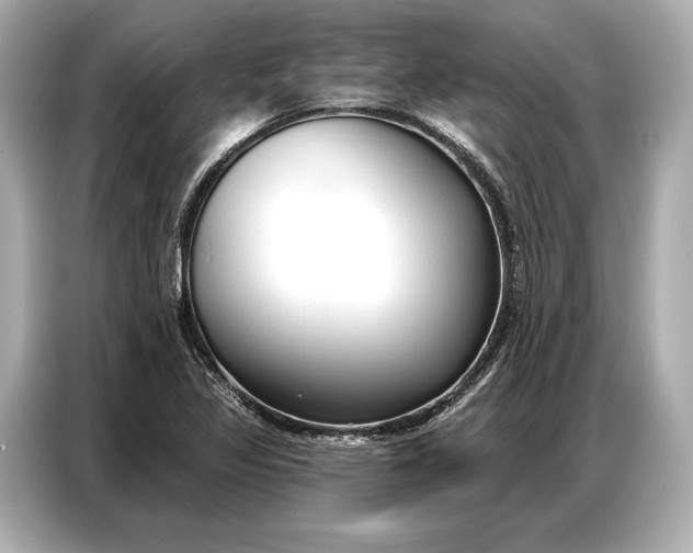 X0000086881317200704300929