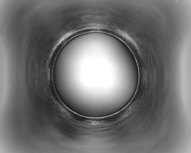 X0000086881318200704300929