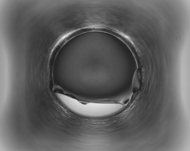 X0000086881319200704300929