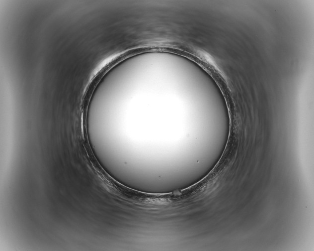 X0000086881320200704300929