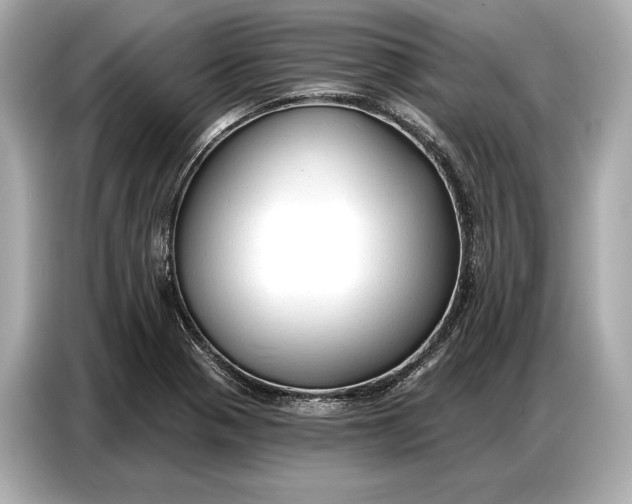 X0000086881321200704300929