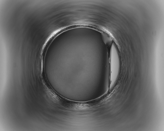 X0000086881323200704300929