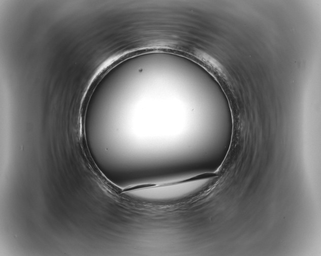 X0000086881324200704300929