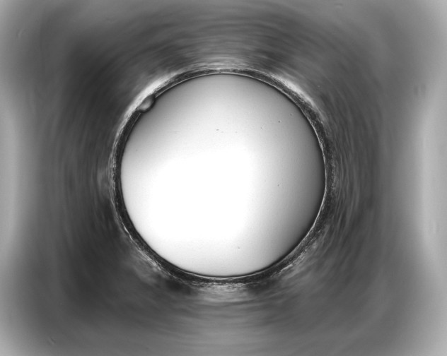 X0000086881325200704300929