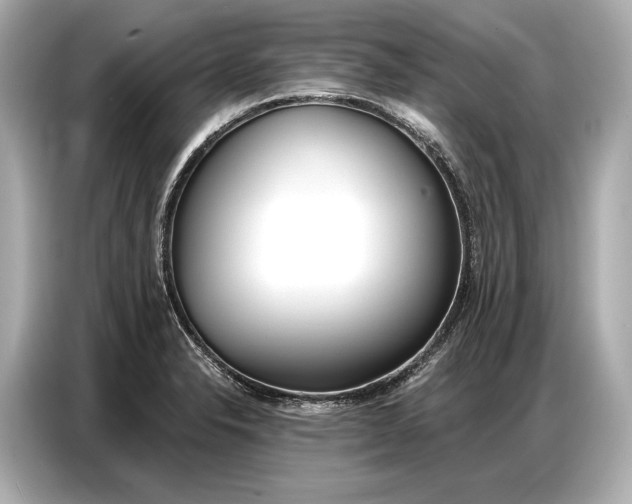 X0000086881326200704300929