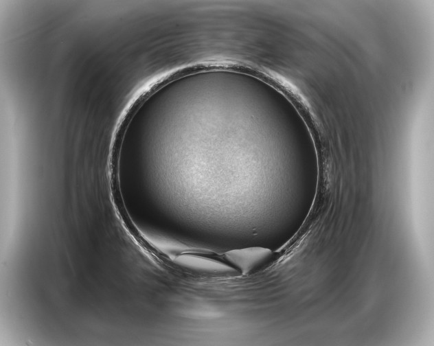 X0000086881327200704300929