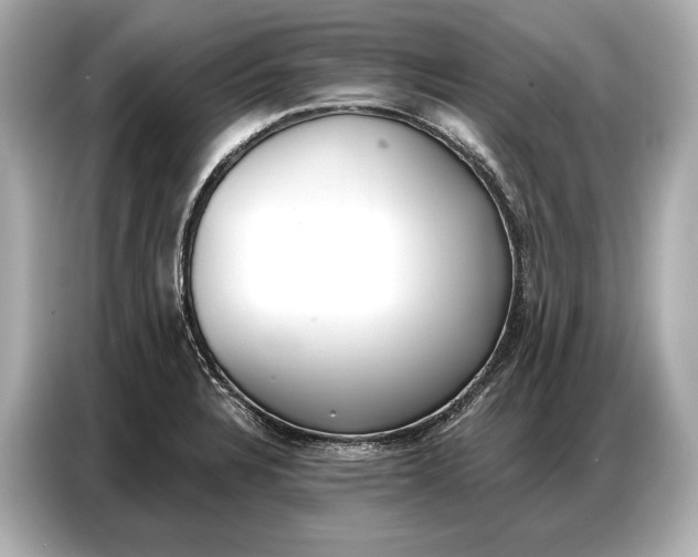 X0000086881328200704300929