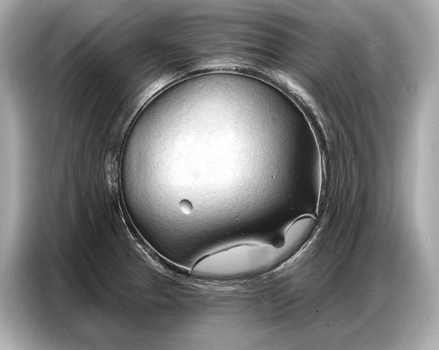 X0000086881329200704300929