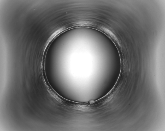 X0000086881330200704300929