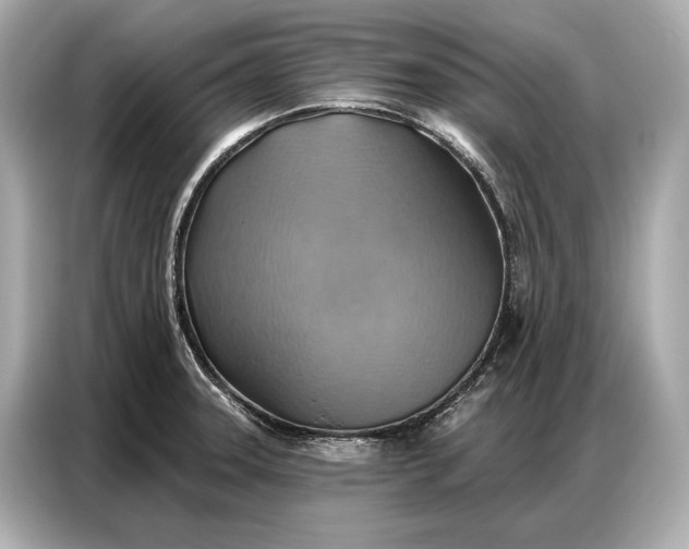 X0000086881331200704300929