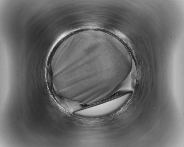 X0000086881334200704300929