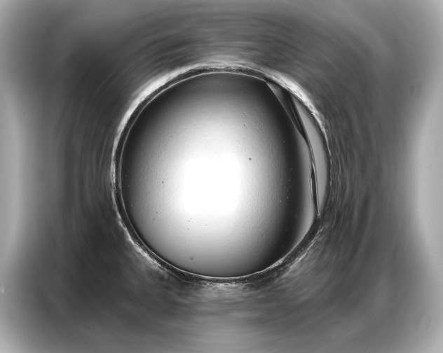 X0000086881335200704300929