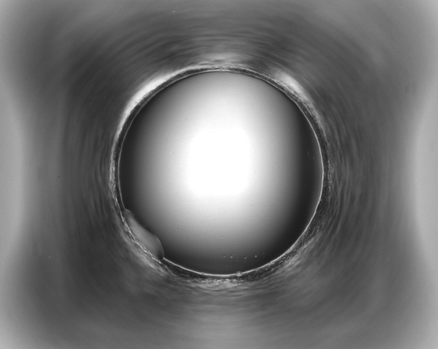 X0000086881336200704300929