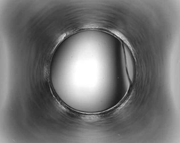 X0000086881337200704300929