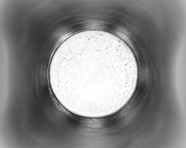 X0000086881338200704300929