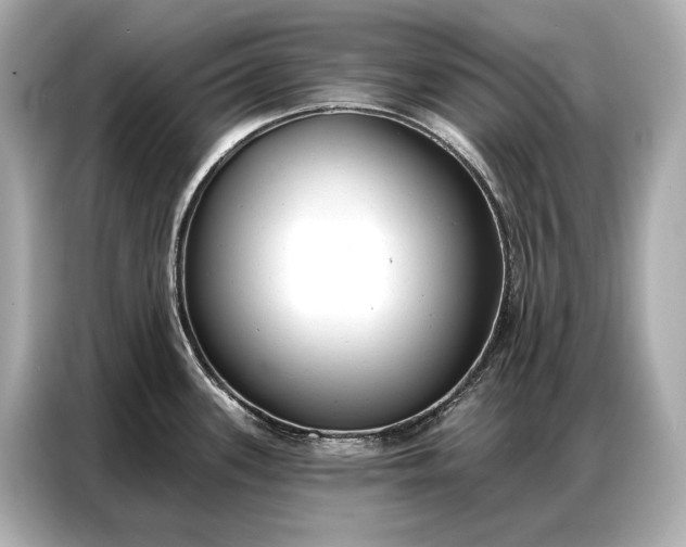 X0000086881339200704300929