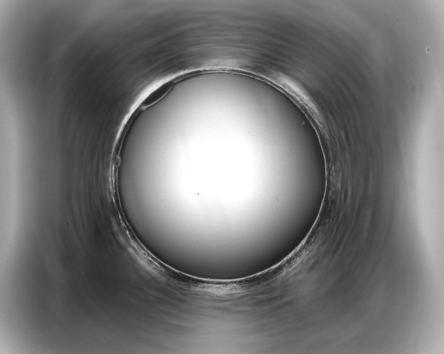 X0000086881340200704300929