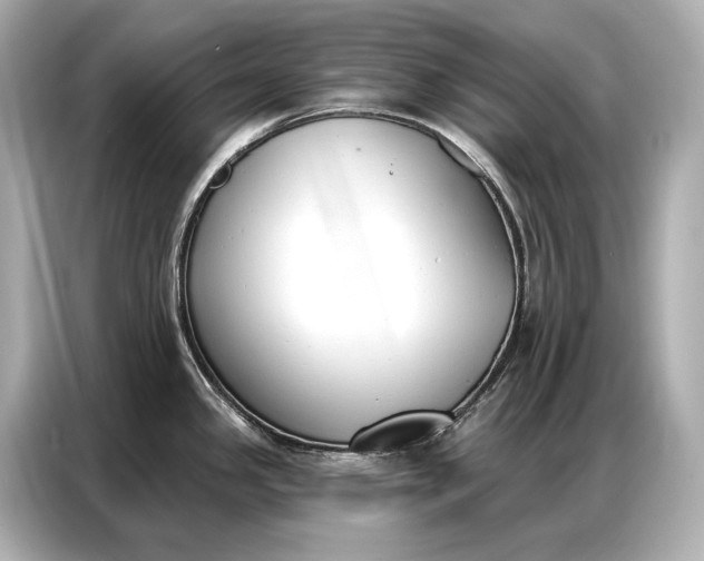 X0000086881341200704300929