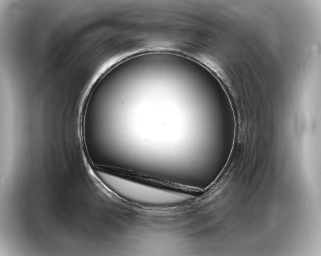 X0000086881342200704300929