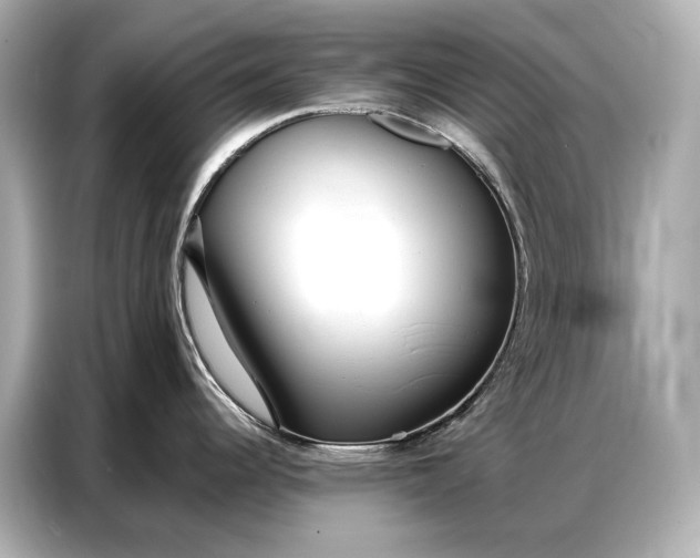 X0000086881344200704300929