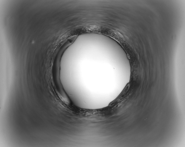 X0000086881345200704300929