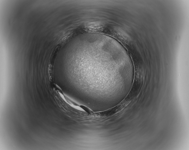 X0000086881346200704300929