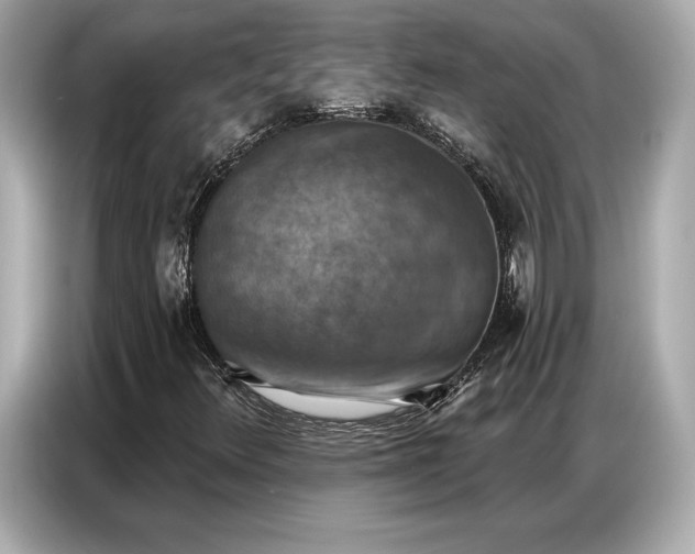 X0000086881348200704300929