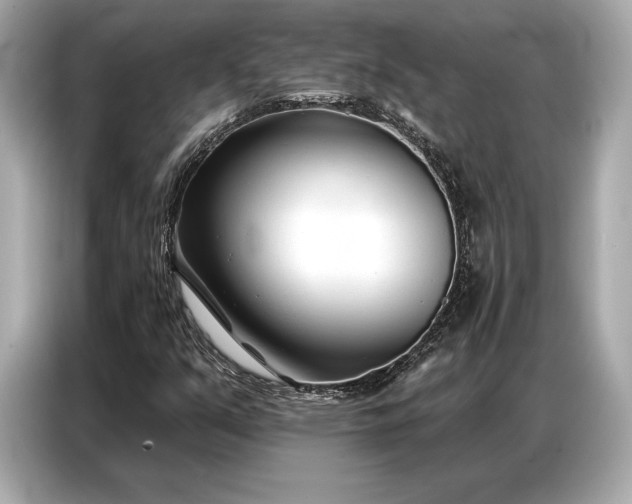 X0000086881351200704300928