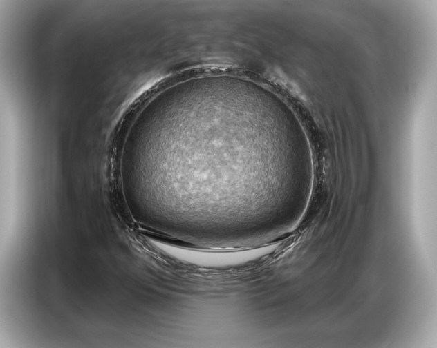 X0000086881352200704300928