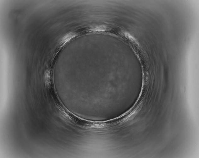 X0000086881353200704300928