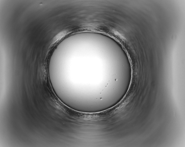 X0000086881354200704300928