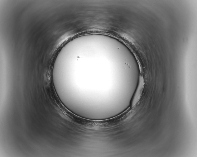 X0000086881355200704300928