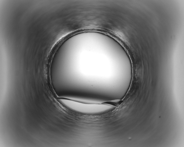 X0000086881356200704300928