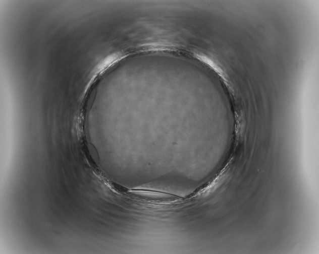 X0000086881357200704300928