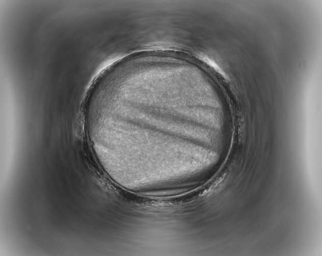 X0000086881358200704300928